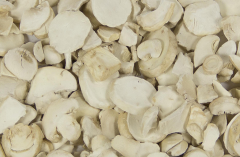 Freeze dried mushroom