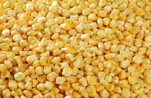 Freeze dried psweetcorn